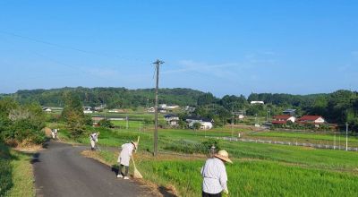 市道の草刈作業