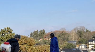 忌避剤散布＋気球