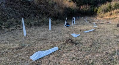 保護カバーの設置